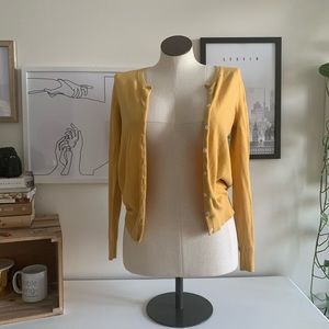 Medium Yellow Cotton Cardigan